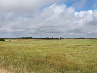 Secluded Retreat in Nature - By Traum Ferienwohnungen - 1