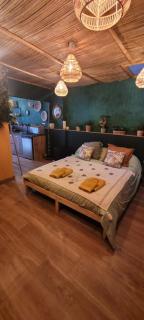 Amazo nid Appartement exotique proche de Bordeaux - 4