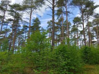 4 person holiday home in Oksbøl-By Traum - 4