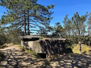 4 person holiday home in Oksbøl-By Traum - 2