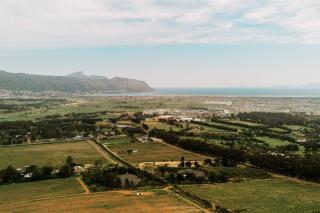 Luxury Vineyard Farmstay Flatlets, Somerset West - 7
