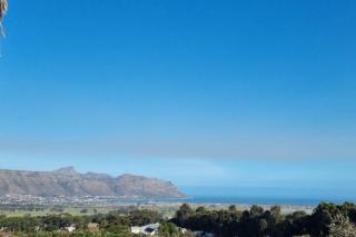 Luxury Vineyard Farmstay Flatlets, Somerset West - 1