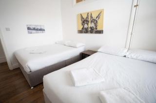 Pleasure beach Apartment - 8