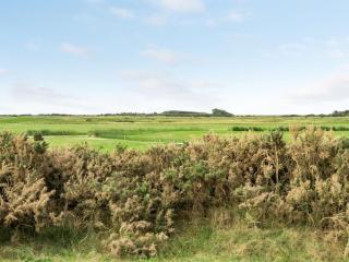 Apartment Hugo - 2-5km from the sea by Interhome - 3