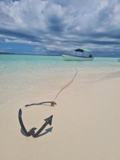 Zanzi coconut house - 0