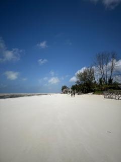 Zanzi coconut house - 8