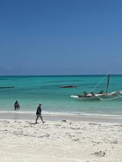 Zanzi coconut house - 7