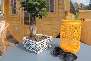 Barrel Papilles En Escapade - 1