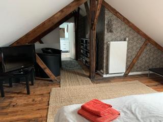 Maison pour 12 personnes centre ville Le Mans - Le Mans - 3