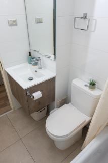 Volcano Studio Pucon - 7