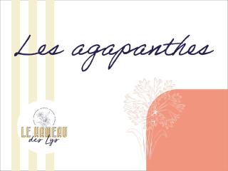 Le Hameau des Lys - 12min du PuyduFou - 8