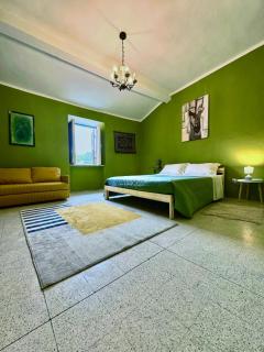 Wayra Glider Norma Centro - 3