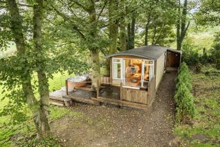 The Hide - Cosy Cabin with hot tub - 9