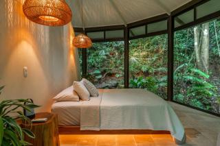 The Nest - 7