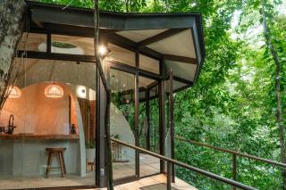 The Nest - 1