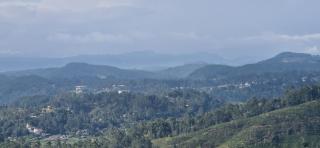 Royal Lush Hotels - 0