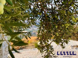 Alora Private Villa - Pool & 360 Mountain Views - 4