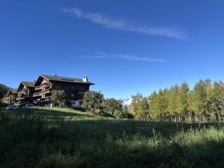 Les Mayens de l'Ours - At the foot of Piste de l'Ours' slope! - 9