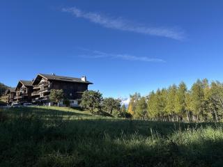 Les Mayens de l'Ours - At the foot of Piste de l'Ours' slope! - 8