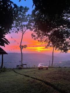 Thrill Playgrounds & Tipi Cafe - 4