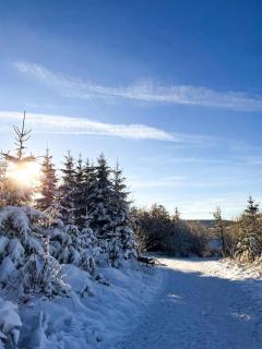 Ferienhäuser Hoher Knochen mit Sauna - Winterberg - 9