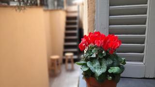 Experience Genoa-Traditional Home in Castelletto - 8
