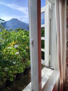 Andrews Homestay - 9