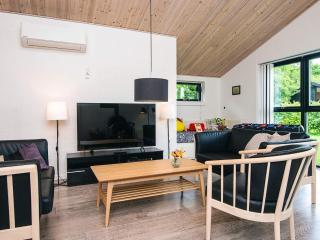 5 star holiday home in Ansager - 1