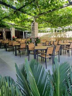 Hotel Lobo Budva - 9