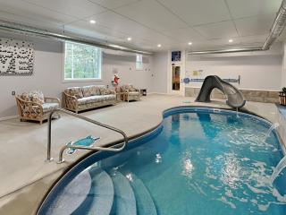 Wander Through the Woods - 6