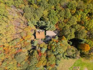 Wander Through the Woods - 1