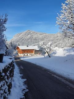 Ferienhaus Paulnhof Erl - Alpenglück für Gruppen, Freunde & Teams - 0