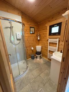Brynmeini Lake Lodge - 2