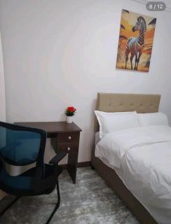 Luxury apartment in kilimani - 7