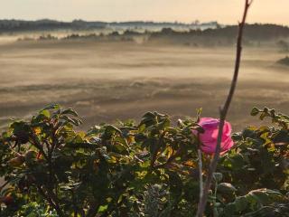 Beachfront Bungalow Bliss - By Traum Ferienwohnungen - 4