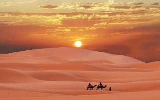 Merzouga Dunes Luxury Glamping Camp - 1