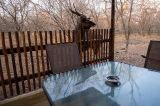 NIANI HYENA chalet - 9
