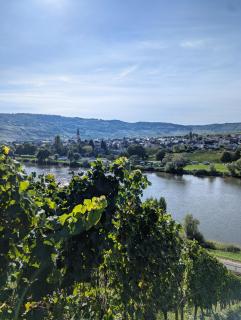 Gästehaus Weingut Heribert Boch - 7