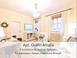 GRÄFIN AMALIA - Apartment in der historischen Hinterburg Schlitz - 2 Schlafzimmer - mit Aufzug, Parkplatz, E-Ladestation & Garten - nahe Fulda und Bad Hersfeld - Schlitz - 0