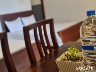 SkyLark Guest House - 2