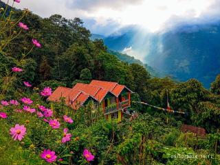 Springfeel Homestay - 0