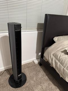 LRG 1600sqft 4room 2 bath in a quiet neighborhood - 5