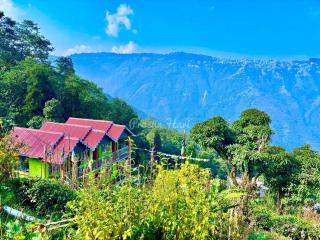 Springfeel Homestay - 9