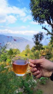 Springfeel Homestay - 5