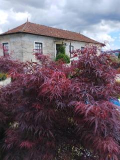 3HOUSE Sol na Eira - 8