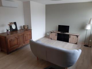 Villa le Menhir 4 Ch au Bord du Lac et Terrasse - 3