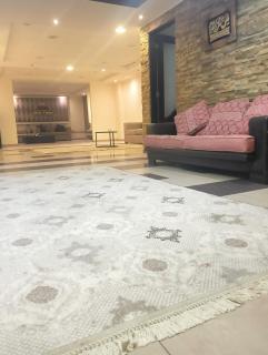 شقه فندقيه بأرقى مناطق المهندسين - 4