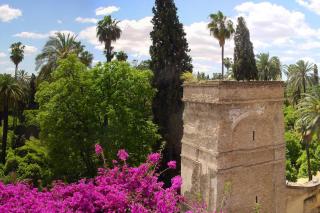 Waou Palacio Tenorio Santa Cruz - 8