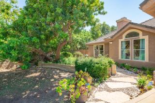 Tranquil Quiet Mountain Home w Private Garden - 6