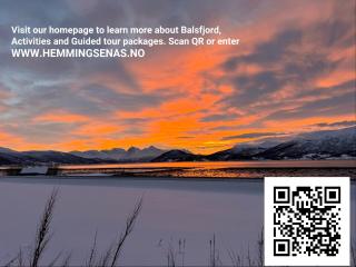 Aurora panorama - 9